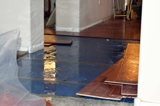 Professional Basement Flood Cleanup technician working in Clever, MO